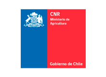 logo_marcas_cnr.png